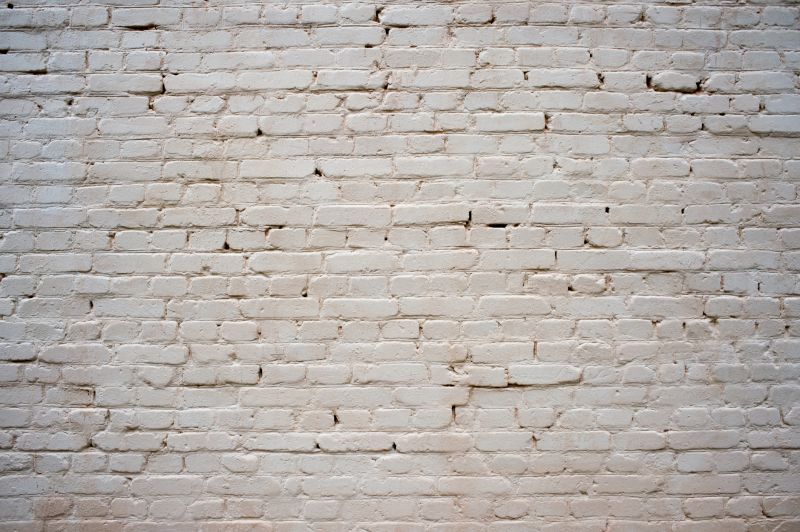 House Limewashing in Fort Collins, CO