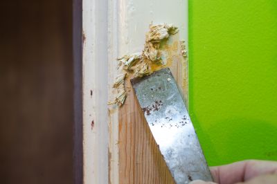 Door Paint Removal